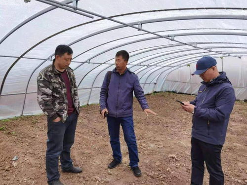 百期網課開新局，科技助農譜新篇——市農業科學院“學史力行慶華誕”網絡課堂圓滿結課